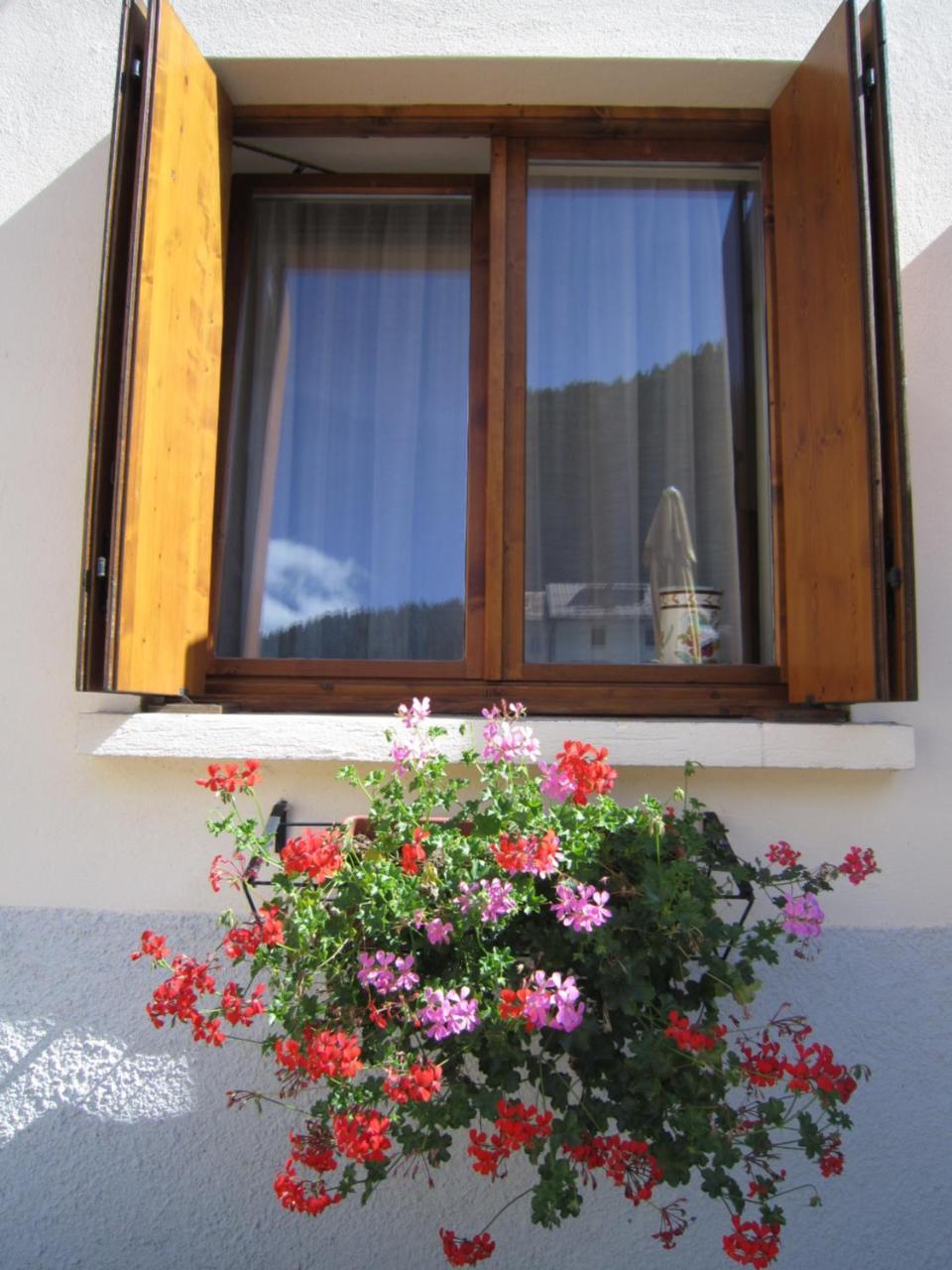 Canale dʼAgordo Casa Alpina Sacro Cuore מראה חיצוני תמונה